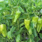Cubanelle Pepper Seeds
