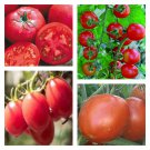 Heat Tolerant Tomato Mix Organic Seeds