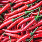 Sweet Cayenne Pepper Seeds