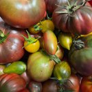 Tomato Seed Mix