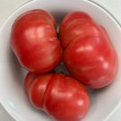 Dester Tomato Seeds