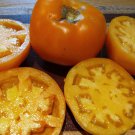 Amish Gold Tomato Seeds Organic