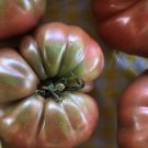 Purple Cherokee Tomato Seeds