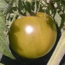 Lime Green Salad Tomato Seeds Organic