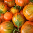 Turkish Orange Eggplant Seeds