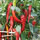 Cow Horn Pepper Seeds Hot