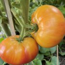 Dwarf Wherokowhai Tomato Seeds