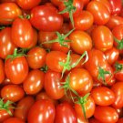 Baby Roma Cherry Tomato Tomato Seeds Organic