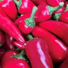 Fresno Pepper Seeds Hot