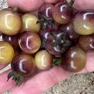 Indigo Cream Berries Tomato Seeds Organic