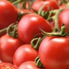 Indian Curry Tomato Seeds Organic