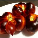 Indigo Apple Tomato Seeds Organic