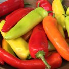 Hungarian Hot Wax Pepper Seeds Organic