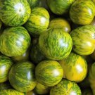 Green Zebra Tomato Seeds Organic
