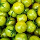 Green Bumble Bee Tomato Seeds
