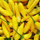 Lemon Drop Pepper Seeds Hot