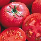 Eva Purple Ball Tomato Seeds
