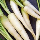 Lunar White Carrot Seeds