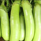 Louisiana Long Eggplant Seeds
