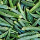 Perkins Long Okra Seeds
