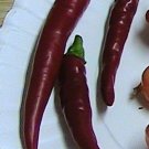 Cayenne Hot Pepper 25 Seeds