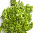 Chervil 100 Seeds