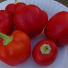 Alma Paprika Pepper 25 Seeds