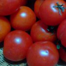Praxx Cherry Tomato Rare 25 Seeds
