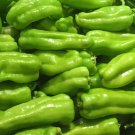 Cubanelle Pepper 25 Seeds