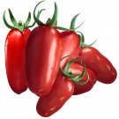 San Marzano Tomato 25 Seeds