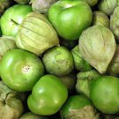 Verde Tomatillo 25 Seeds