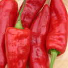 Marconi Pepper 25 Seeds