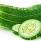 Ashley Long Green Cucumber 25 Seeds