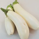 Casper Eggplant 20 Seeds