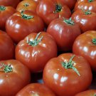 Ponderosa Beefsteak Tomato 20 Seeds