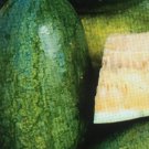 Sweet Siberian Watermelon 25 Seeds