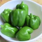 Big Dipper Sweet Bell Pepper 10 Seeds