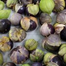 Purple Tomatillo 25 Seeds