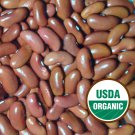 Light Red Kidney Bush Bean 20 Seeds