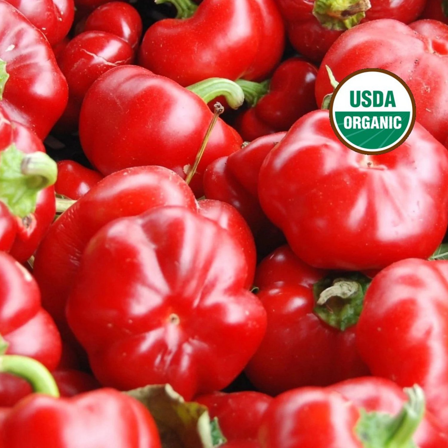 Pimento Pepper 25 Seeds