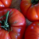 Mule Team Tomato 25 Seeds