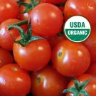 Chadwick Cherry Tomato 25 Seeds