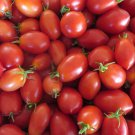 Roma Tomato 25 Seeds