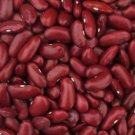 Dark Red Kidney Bush Bean 20 Seeds