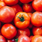 Rutgers Tomato 25 Seeds