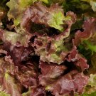 Prizehead Leaf Lettuce 200 Seeds