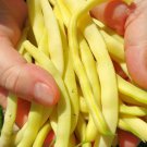 Carson Yellow Wax Bush Bean 20 Seeds