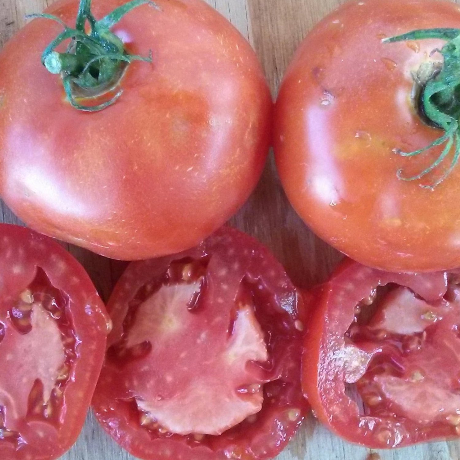 Boxcar Willie Tomato 10 Seeds