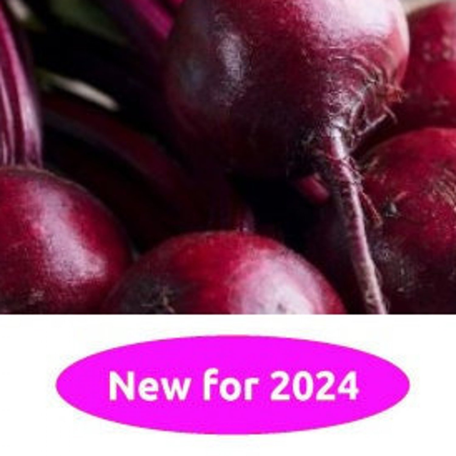 Bull'S Blood Beet 25 Seeds