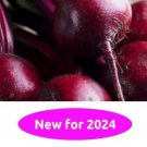 Bull'S Blood Beet 25 Seeds